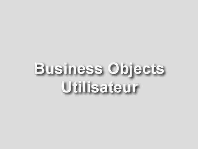formation Business Objects Utilisateur débutant