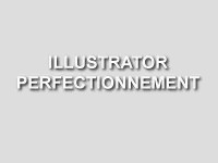 formation illustrator perfectionnement
