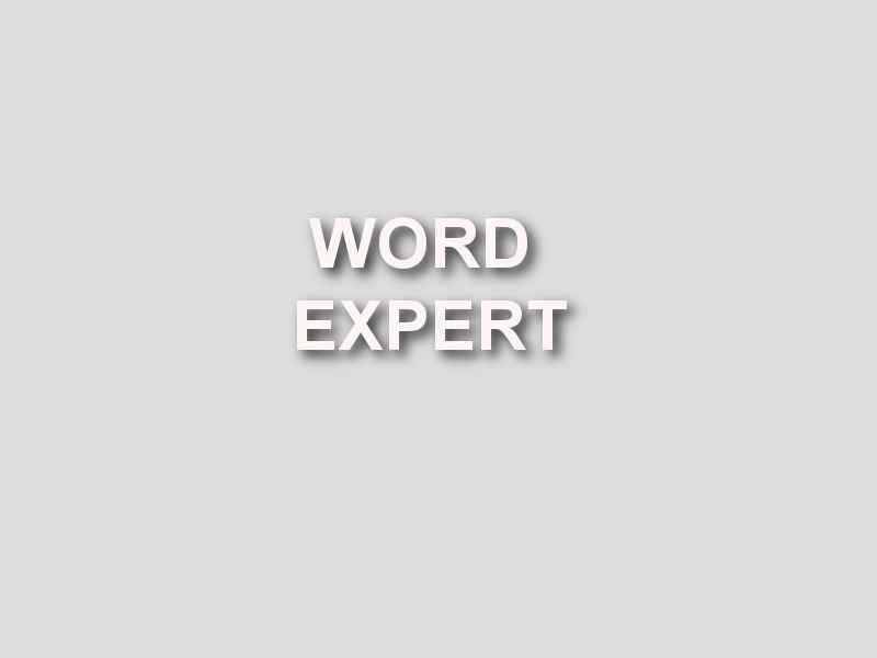 formation word expert