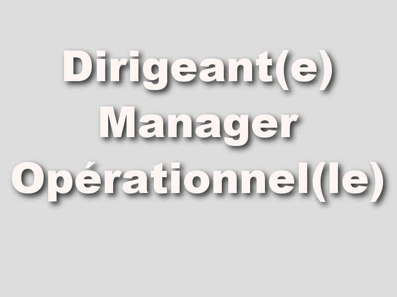 Dirigeant Manager Opérationnel Strasbourg